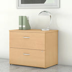 2-drawer Lateral File Cabinet