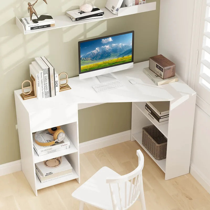 Computer Desk with Drawer and Storage Shelves for Home