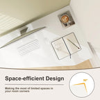 Computer Desk with Drawer and Storage Shelves for Home