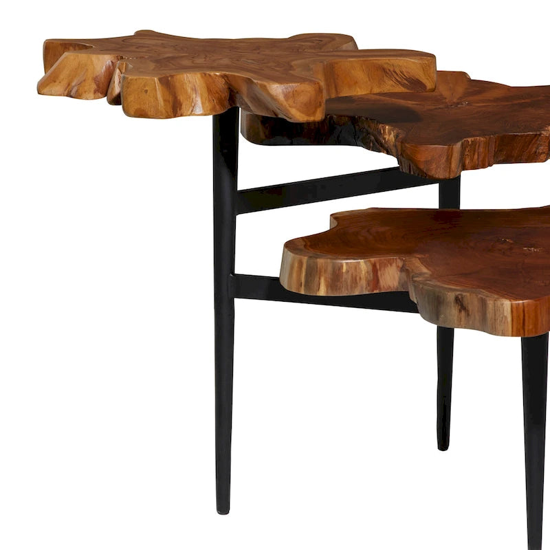 Teak Wood Handmade Live Edge 3 Tier Accent Table with Black Base - Brown- 36W x 34L x 24H
