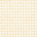 Couture Maiju Rattan Arm Chair - 21 In. W x 23 In. D x 34 In. H - 21Wx23Dx34H