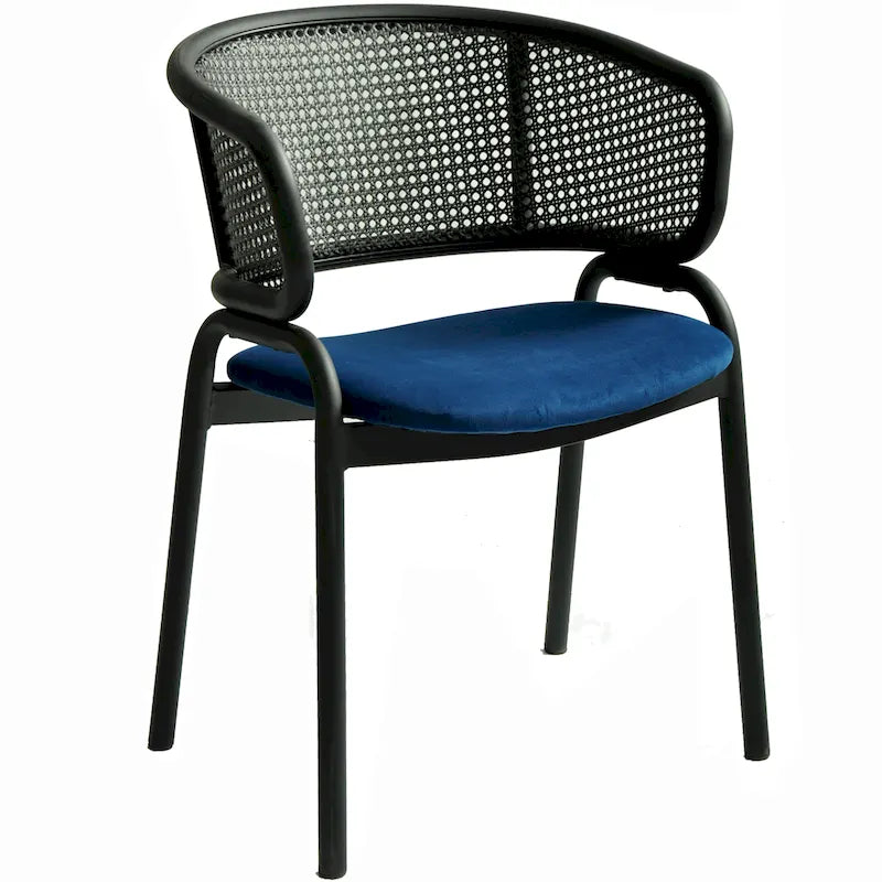 Modern Upholstered Dining Chair with Cozy Armchair and Black Iron Legs for Dining Room Kitchen Patio