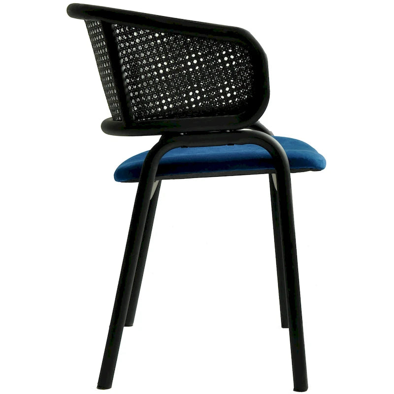 Modern Upholstered Dining Chair with Cozy Armchair and Black Iron Legs for Dining Room Kitchen Patio